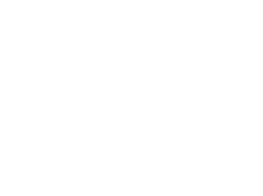 Equus Evolution